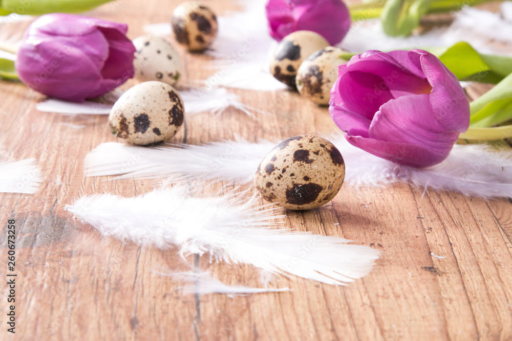 Easter eggs and flower on wooden table. Spring concept on plank Easter eggs and flower on wooden table. Spring concept on plank