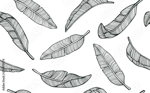 Seamless tropical pattern with banana leaves. Hand drawn vector