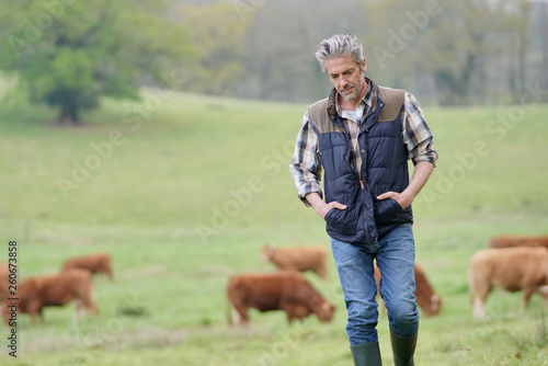 Farmer walking in field with cattle in the background
