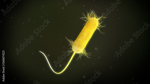 3D illustration of a pseudomonas aeruginosa bacteria photo