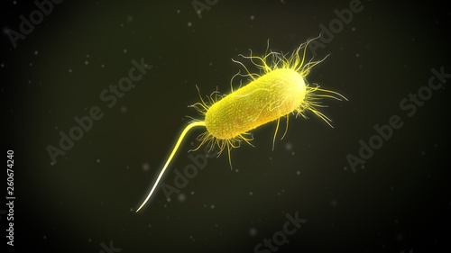 3D illustration of a pseudomonas aeruginosa bacteria photo