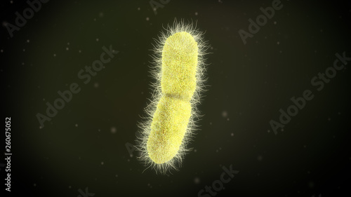 3D illustration of a klebsiella pneumoniae bacteria
