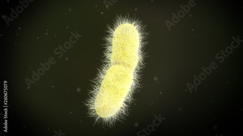 3D illustration of a klebsiella pneumoniae bacteria