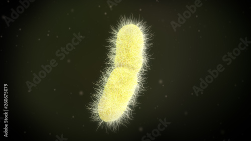 3D illustration of a klebsiella pneumoniae bacteria photo