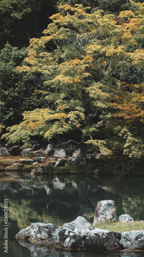 Pond with trees and rocks in a zen garden in Japan