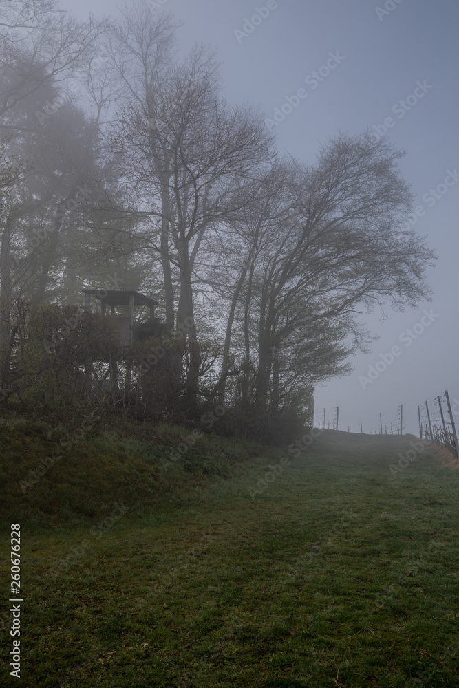 Fototapeta premium Hochsitz im Nebel am Waldrand