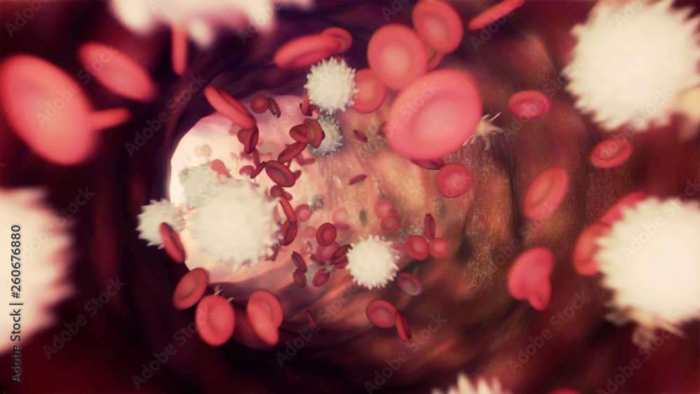 3D illustration of a bloodstream with red cell white cell and platelet 3D illustration of a bloodstream with red cell white cell and platelet
