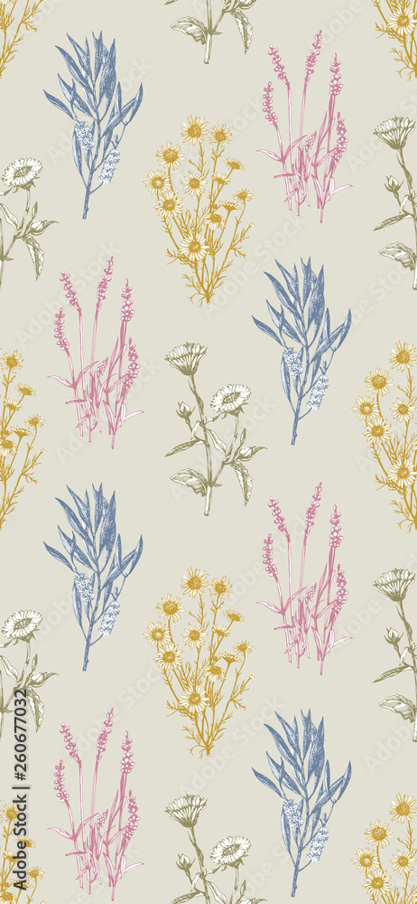Seamless Pattern. Hand-drawn illustration of medical herbs and plants. Vector