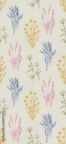 Seamless Pattern. Hand-drawn illustration of medical herbs and plants. Vector