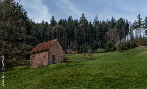 Alte Steinhütte am Waldrand