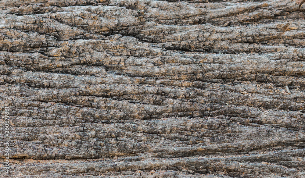 Fototapeta premium texture of wood