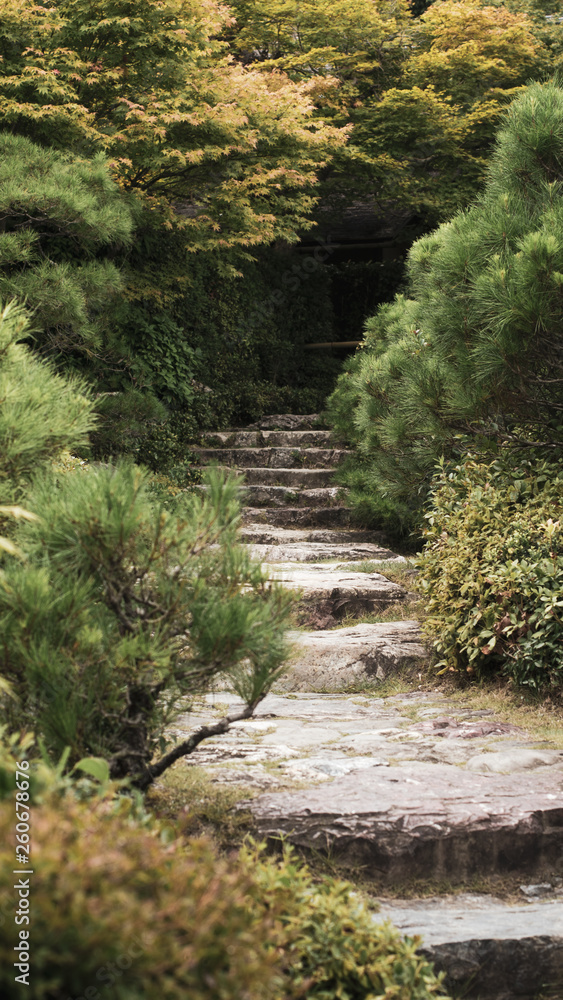 Naklejka premium A stone stair in a garden in Japan, leading to the unknown
