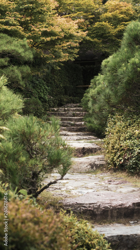 A stone stair in a garden in Japan, leading to the unknown