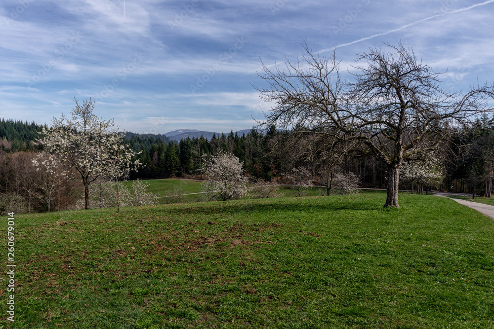 Obraz premium Panorama Landschaft im Schwarzwald
