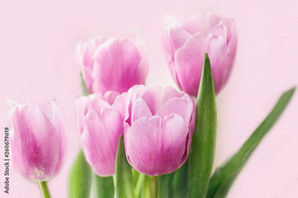 airy bouquet of delicate lilac tulips for congratulations airy bouquet of delicate lilac tulips for congratulations