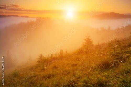 Misty dawn in the mountains in summer © Anton Petrus