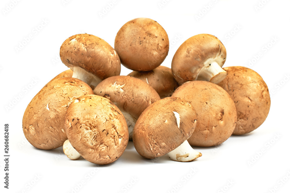 Fresh brown champignon mushrooms on white background. Fresh brown champignon mushrooms on white background.