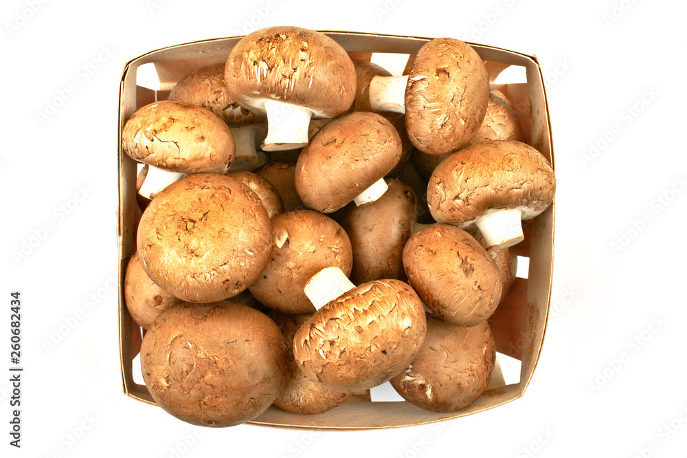 Fresh brown champignon mushrooms on white background. Fresh brown champignon mushrooms on white background.