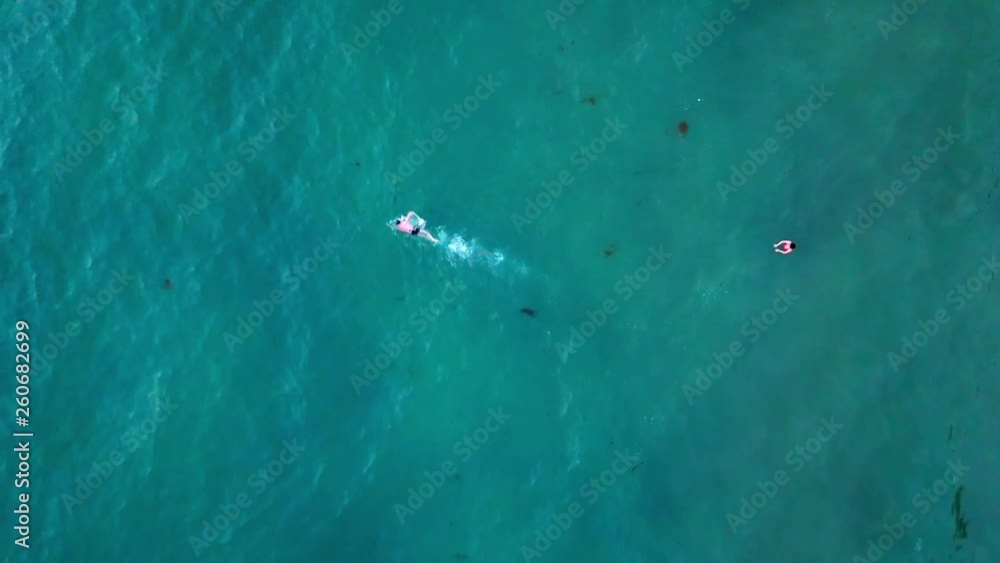 men swimming in the ocean - areal view men swimming in the ocean - areal view