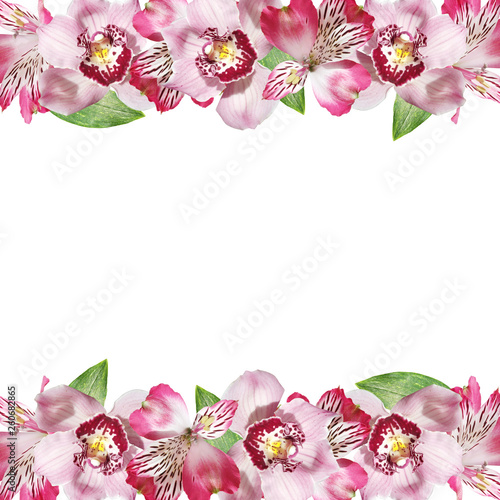 Beautiful floral background of Alstroemeria and Orchid. Isolated 