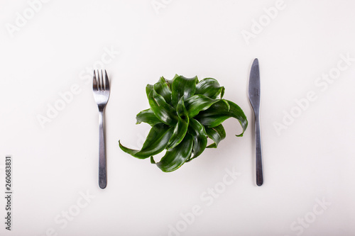 Green plant and diet