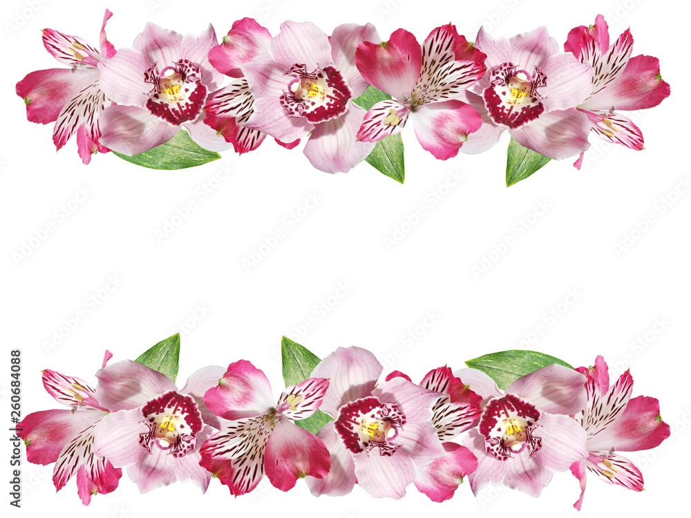 Beautiful floral pattern of Alstroemeria and Orchid. Isolated Beautiful floral pattern of Alstroemeria and Orchid. Isolated