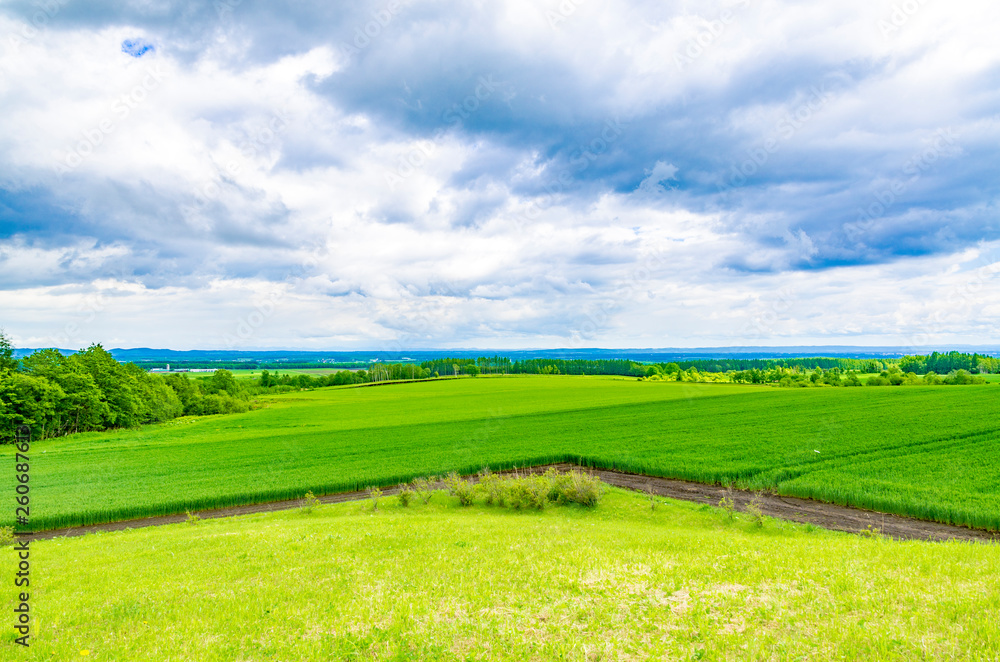 Fototapeta premium 富岡見晴台駐車公園より十勝平野を望む