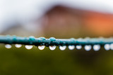 Rain drops isolated with a blurred background