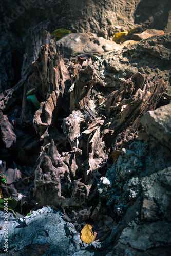 climber on rock