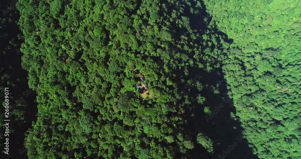 Aerial, screwdriver, drone shot, top down above buildings, in the middle of Indonesian Jungle, on a sunny evening, in Central Bali, Indonesia Aerial, screwdriver, drone shot, top down above buildings, in the middle of Indonesian Jungle, on a sunny evening, in Central Bali, Indonesia