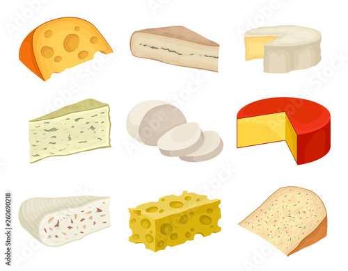 Varieties cheese collection on a white background.
