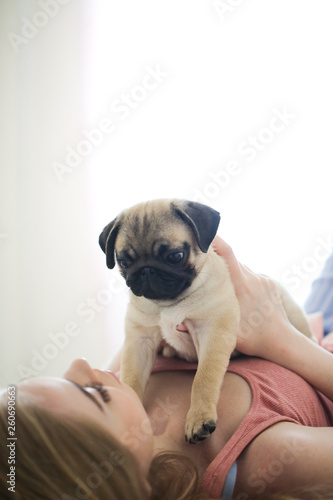 Pug puppy at hostess in her arms, Caucasian woman © natalialeb