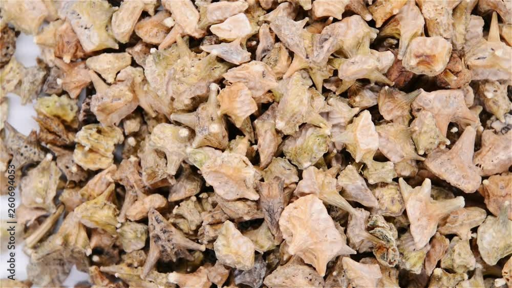 top view herb medicine JiLi or Tribuli Fructus or Puncturevine Caltrap Fruit rotate and pause top view herb medicine JiLi or Tribuli Fructus or Puncturevine Caltrap Fruit rotate and pause