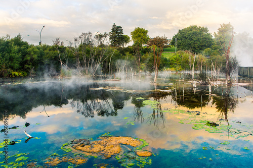 kuirau park, rotorua  photo