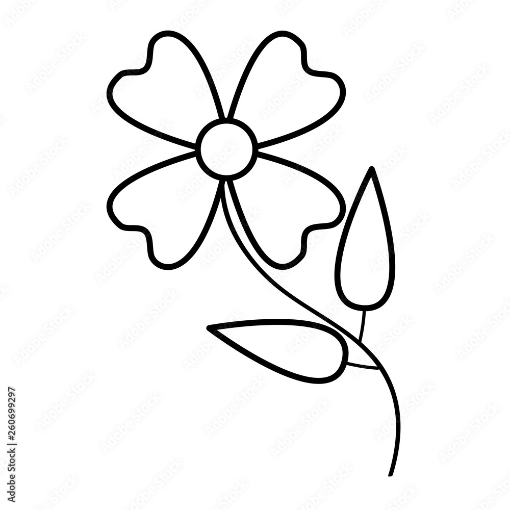 flower natural decoration flower natural decoration