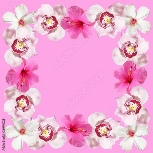Beautiful floral background of hibiscus and orchids. Isolated