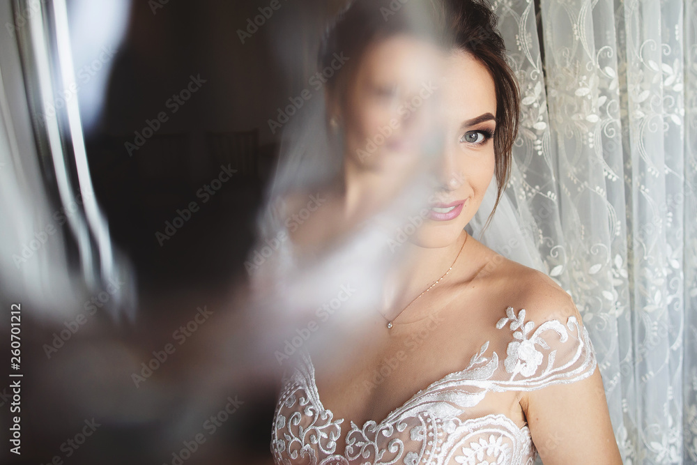 Beautiful bride style. Wedding girl stand in luxury wedding dress near window