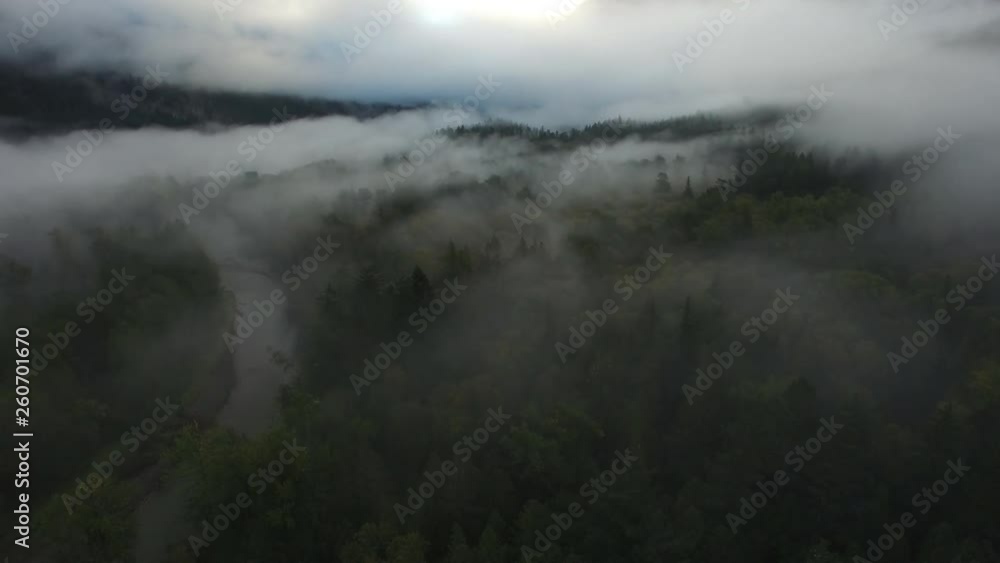 Aerial/Pan Down: Clouds Down to Foggy Forest, Tops of Thick, Green Trees in Bella Coola, British Columbia Aerial/Pan Down: Clouds Down to Foggy Forest, Tops of Thick, Green Trees in Bella Coola, British Columbia