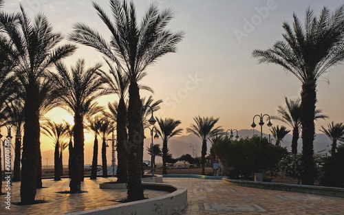 Eilat  Israel  August 13  2017..Eilat is located on the shores of the Red Sea..A great place for recreation and water tourism.