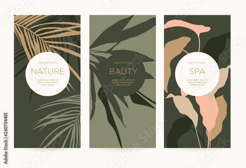 A set of minimalistic templates with natural floral elements for packaging and decoration of cosmetic products, beauty salons and spa. Silhouette of palm tree leaves, olive and lily. Vector.