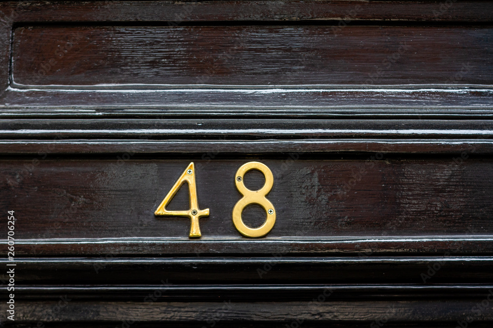 Obraz premium House door number 48 or forty-eight