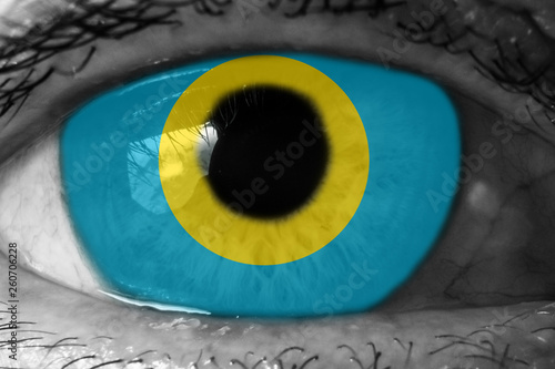 Palau flag in the eye