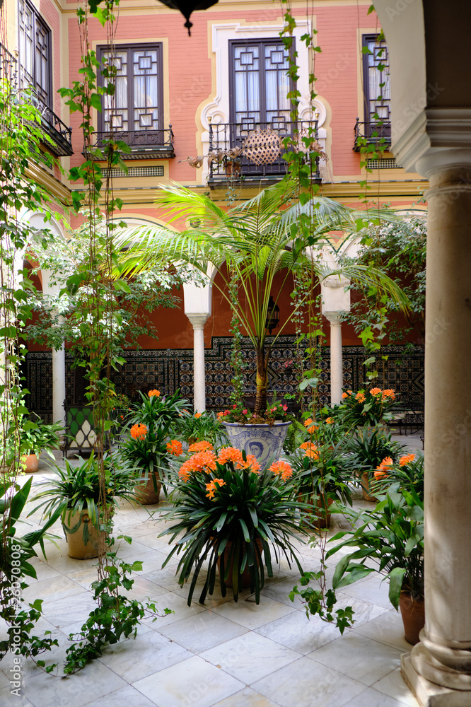 April 2019 - Seville neighborhood courtyard with columns, garden plants in historical house of Andalusia - Spain.