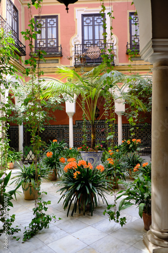 Fototapeta Naklejka Na Ścianę i Meble -  April 2019 - Seville neighborhood courtyard with columns, garden plants in historical house of Andalusia - Spain.