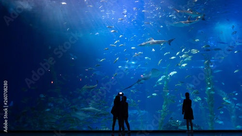 People at an aquarium