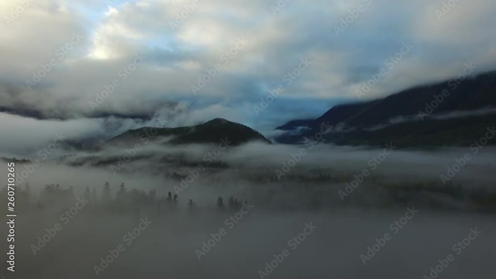 Aerial: Thick Fog Over Forest and Mountains, Thick Clouds Background in Bella Coola, British Columbia Aerial: Thick Fog Over Forest and Mountains, Thick Clouds Background in Bella Coola, British Columbia