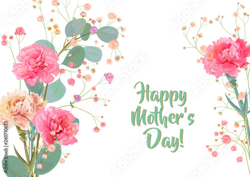 Horizontal Mother's Day card with carnation: white, red, pink, flowers, twigs gypsophile, leaves eucalyptus, white background. Templates for design, botanical illustration in watercolor style, vector