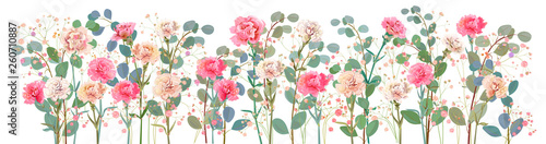 Panoramic view of carnation schabaud. White, pink, red flowers, twigs gypsophile, leaves eucalyptus, white background. Digital draw, illustration for Mother's Day in watercolor style, vector