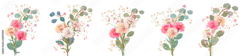 Set bouquets of carnation schabaud. White, pink flowers, twigs gypsophile, leaves eucalyptus, white background. Digital draw, illustration for Mother's Day in watercolor style, panoramic view, vector