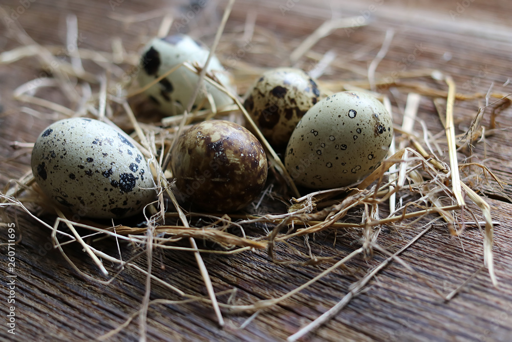 Obraz premium quail eggs on an old wooden table.